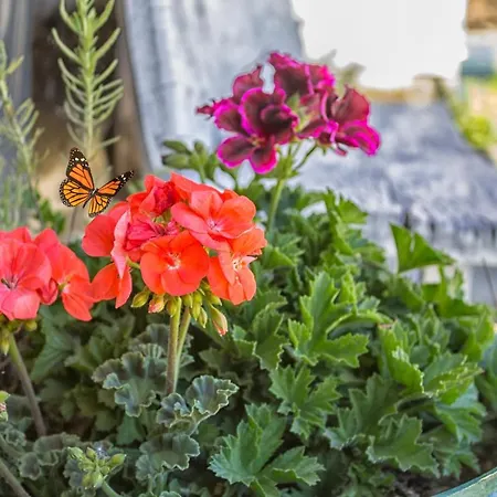 Casa El Susurro Casa rural