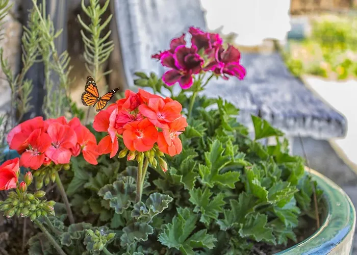 Casa El Susurro 컨트리하우스